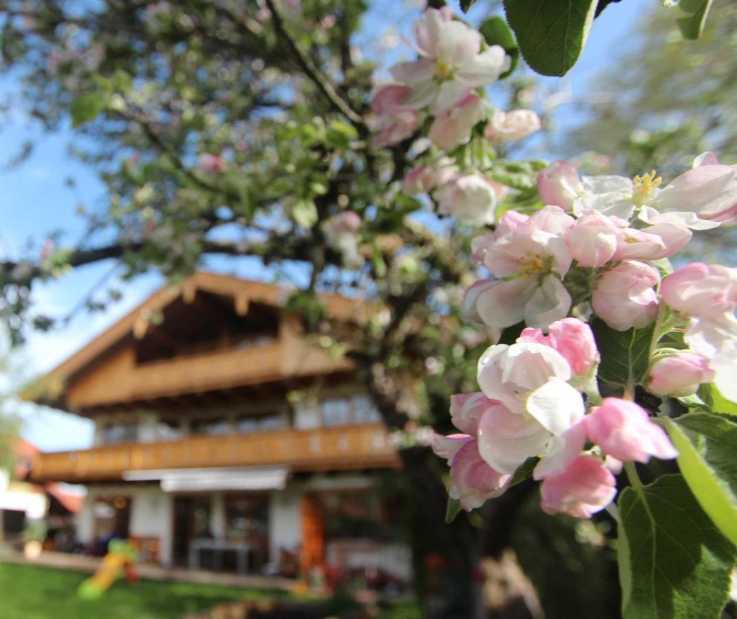 Appartementhaus Schirsner - Direkt Am See & Am Kurpark Schliersee Kültér fotó